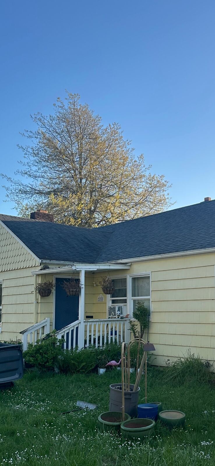Before and after gutter cleaning Lane County Oregon