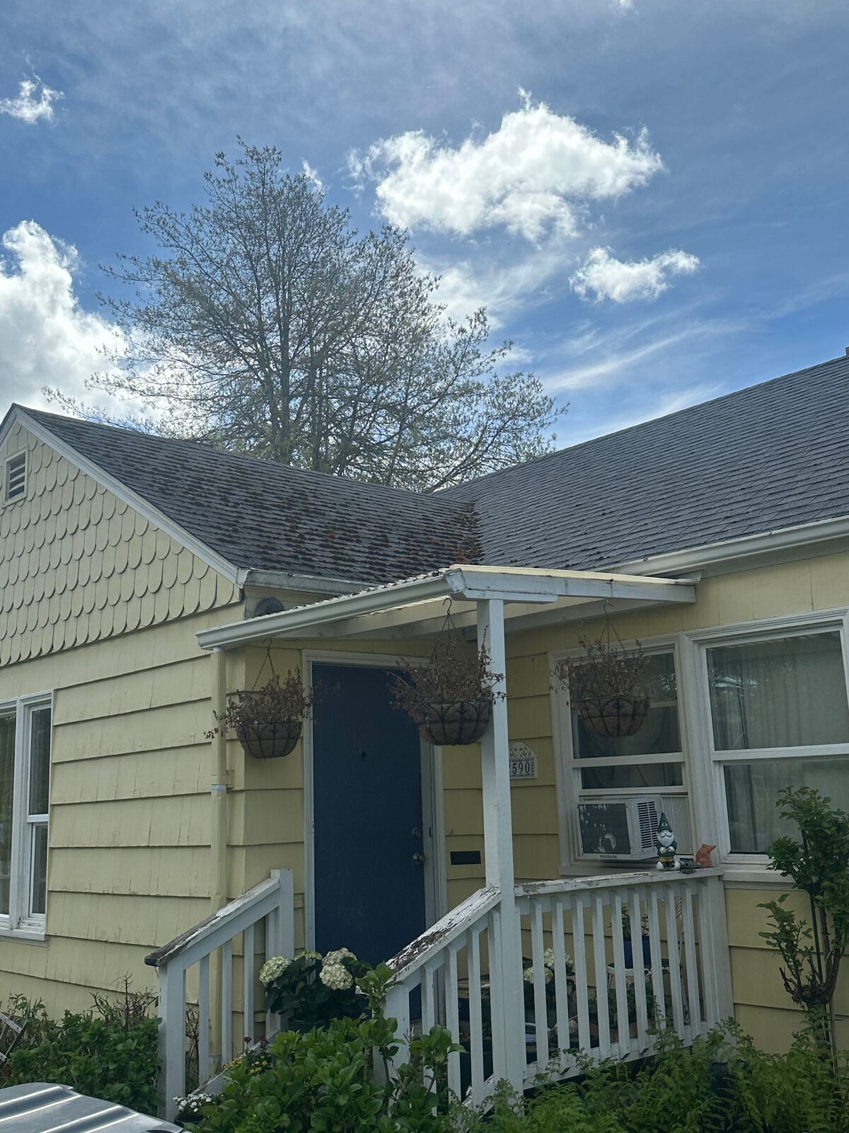 Clogged gutters with debris in Willamette Valley Oregon