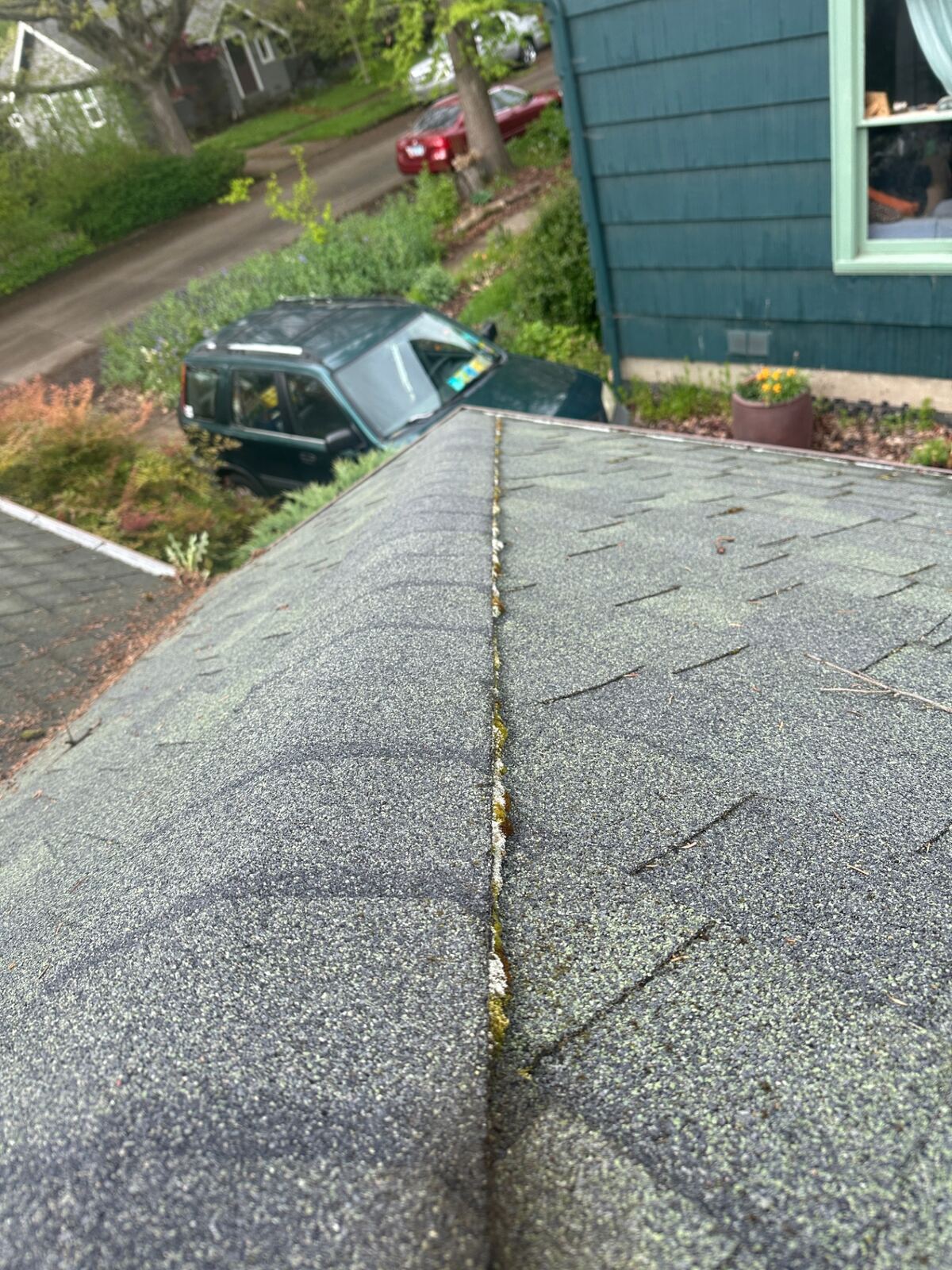 Roof moss removal in Eugene Oregon (1)