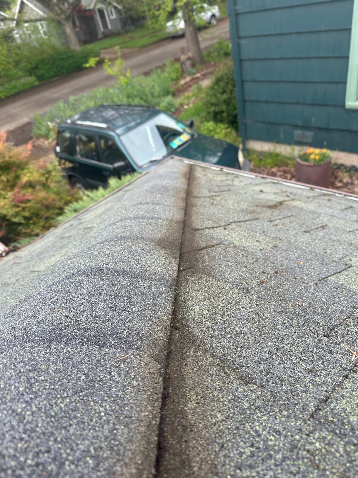 Roof moss removal in Eugene Oregon (2)