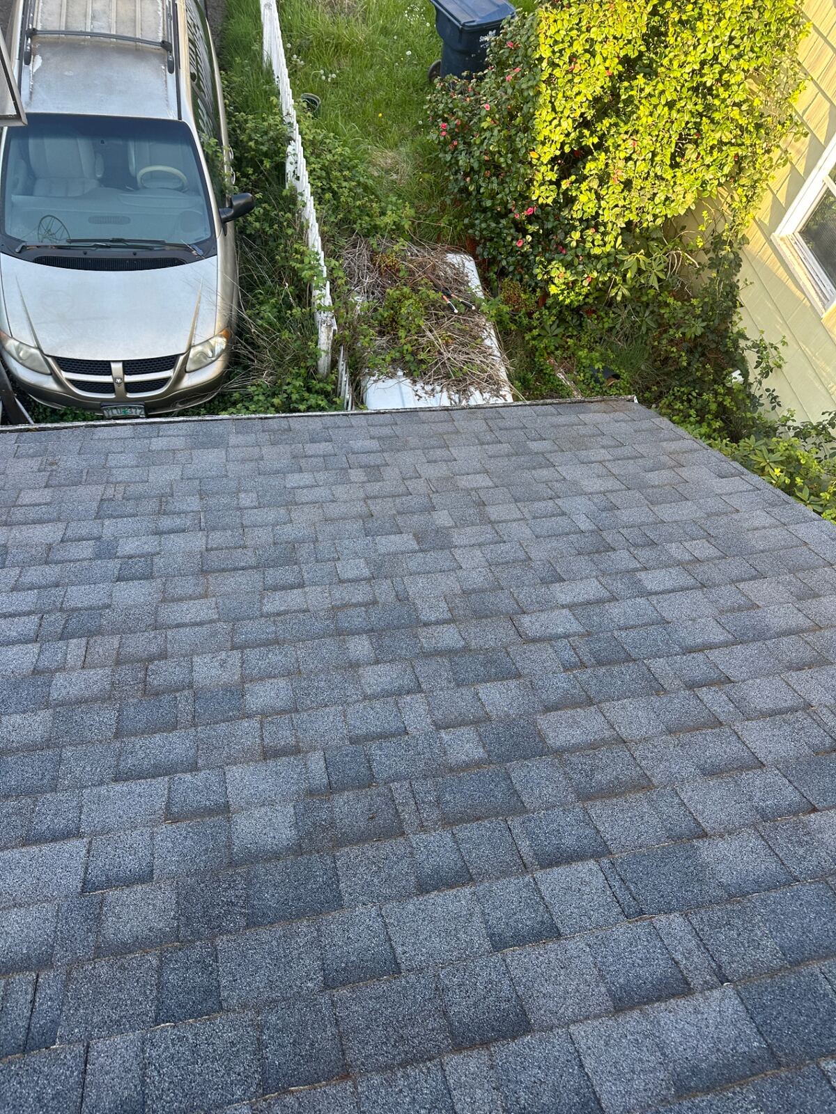 Before and after gutter cleaning Lane County Oregon