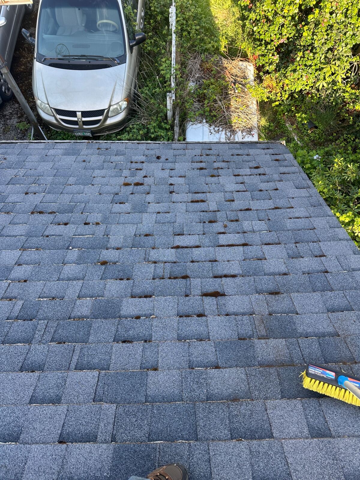 Clogged gutters with debris in Willamette Valley Oregon