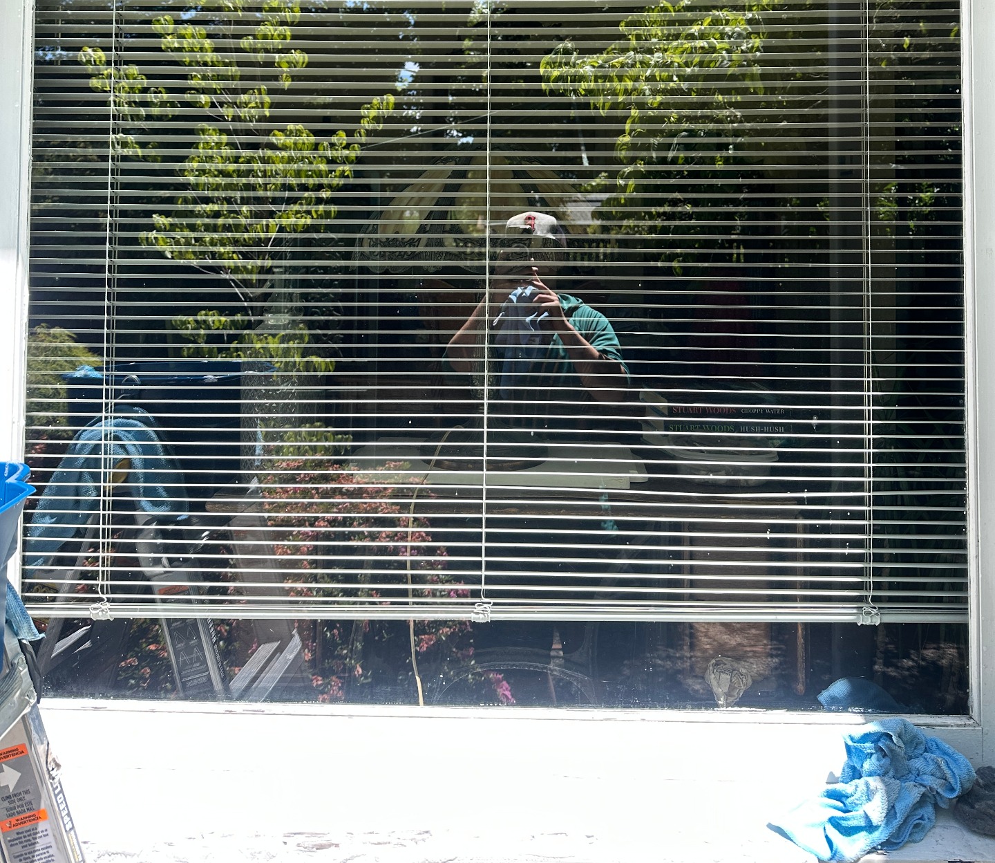 Before and after gutter cleaning Lane County Oregon