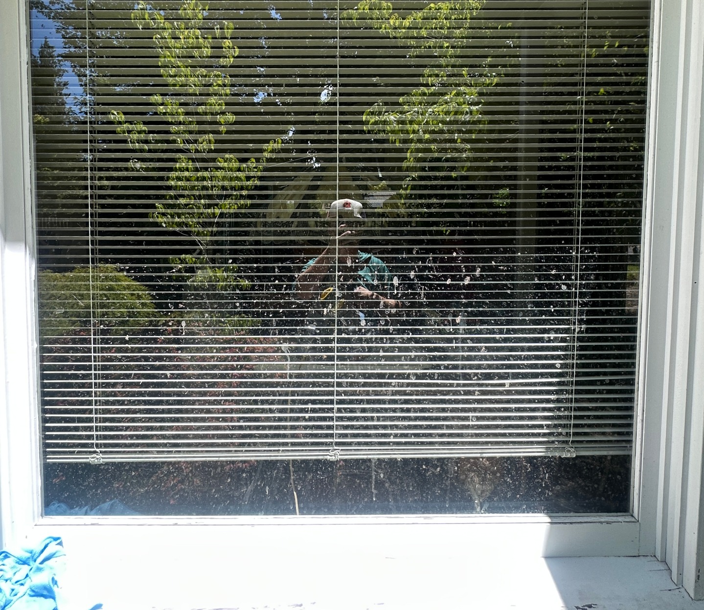 Clogged gutters with debris in Willamette Valley Oregon